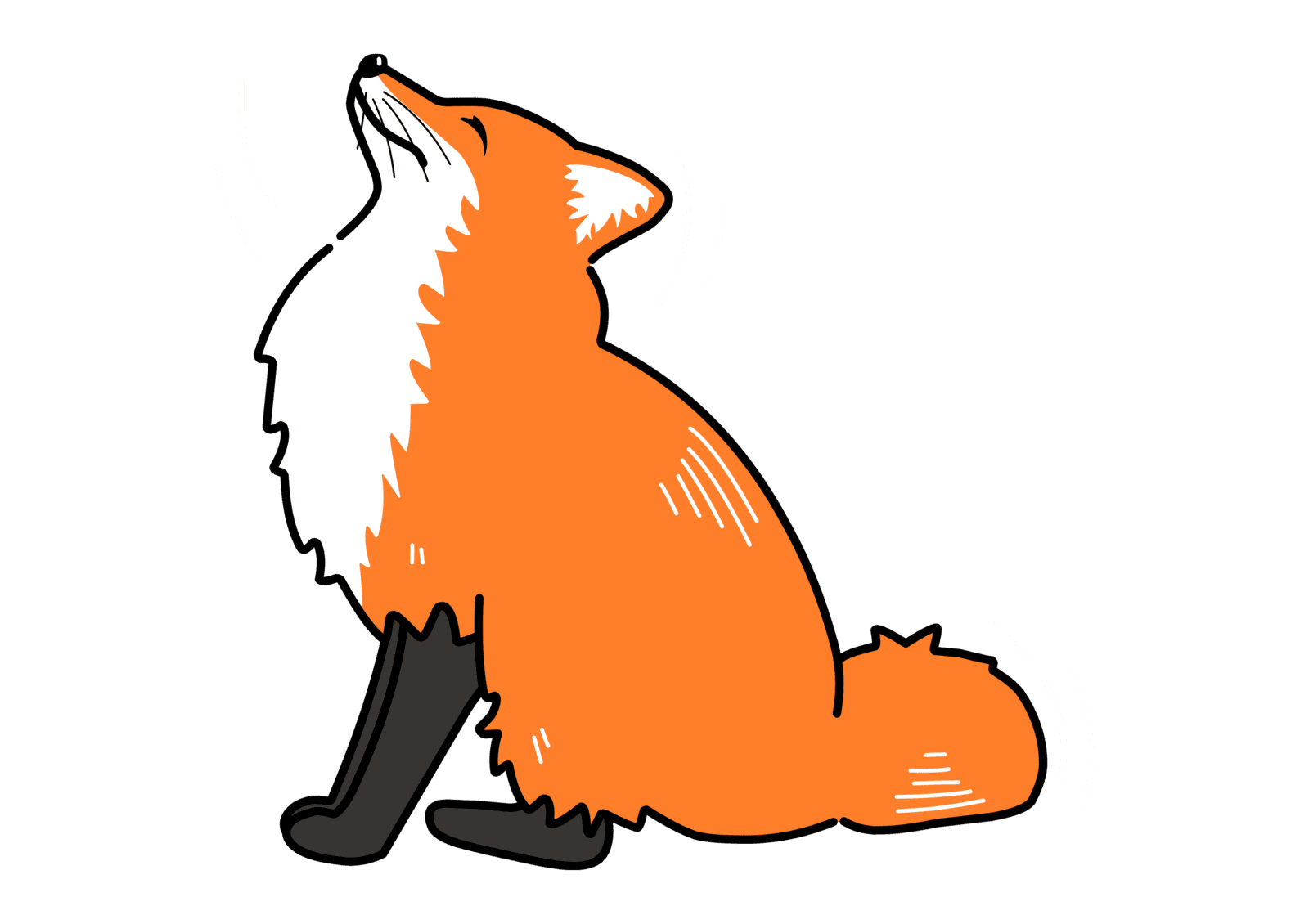 Image milieu de section renard assis sourire