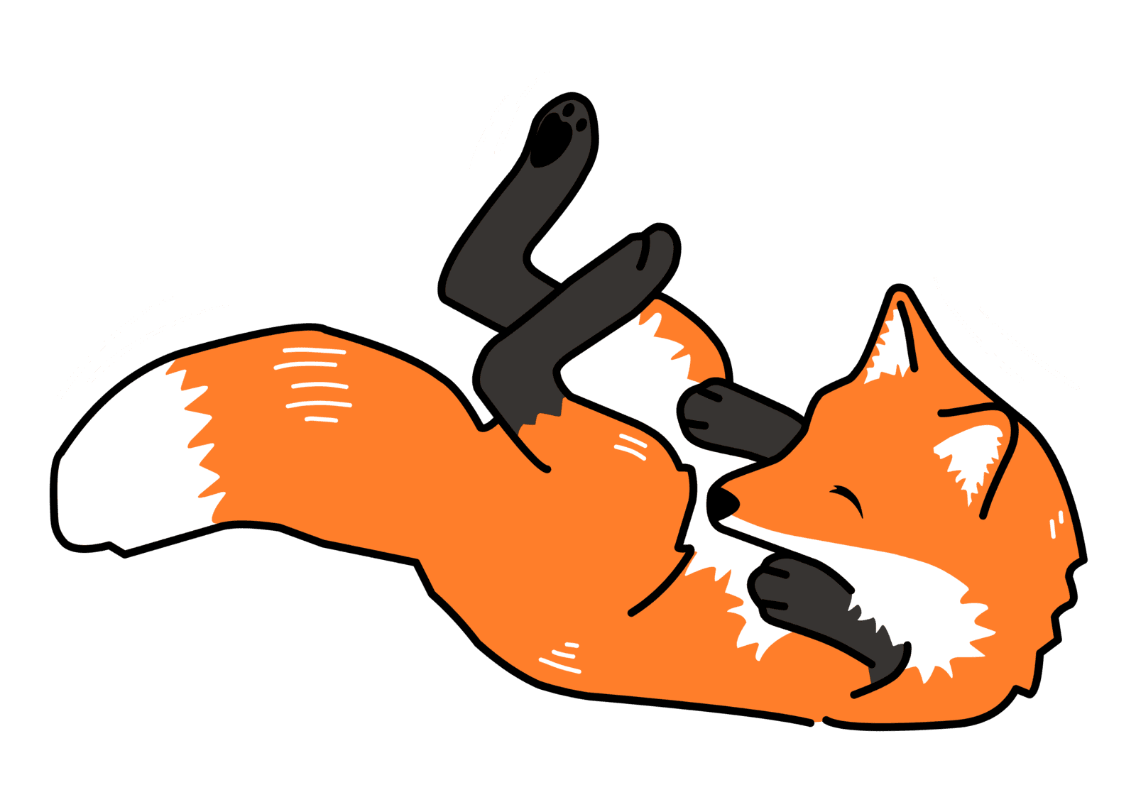Image bas de site renard sur le dos heureux