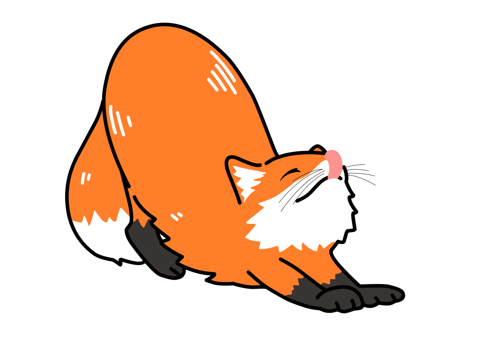 Image milieu de page renard qui s'étire